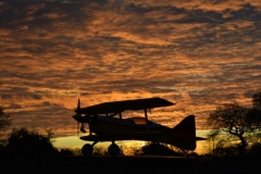 Wots Wot in front of an Autumn sunset at Huntley's