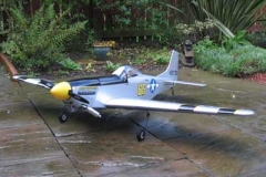 Gilly Mustang